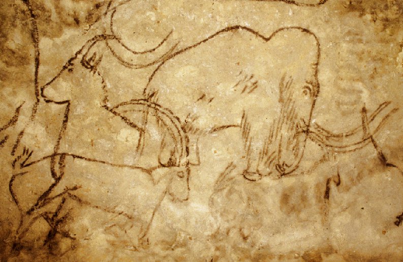 By Cave painter [Public domain], from Wikimedia Commons. From https://upload.wikimedia.org/wikipedia/commons/d/d3/Grotte_de_Rouff_mammut.jpg